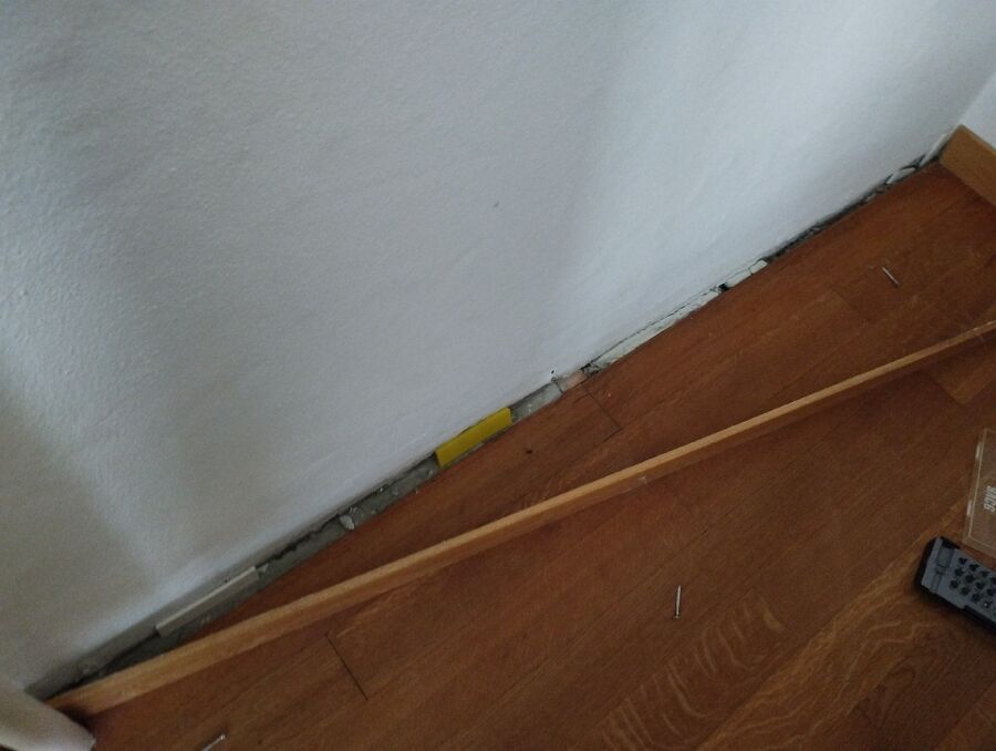 ameisen_vertreiben_bekaempfen_entfernen