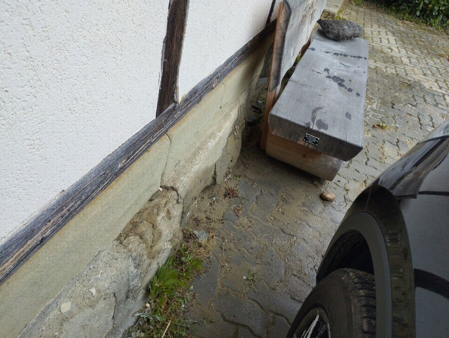 ameisen_vertreiben_bekaempfen_entfernen