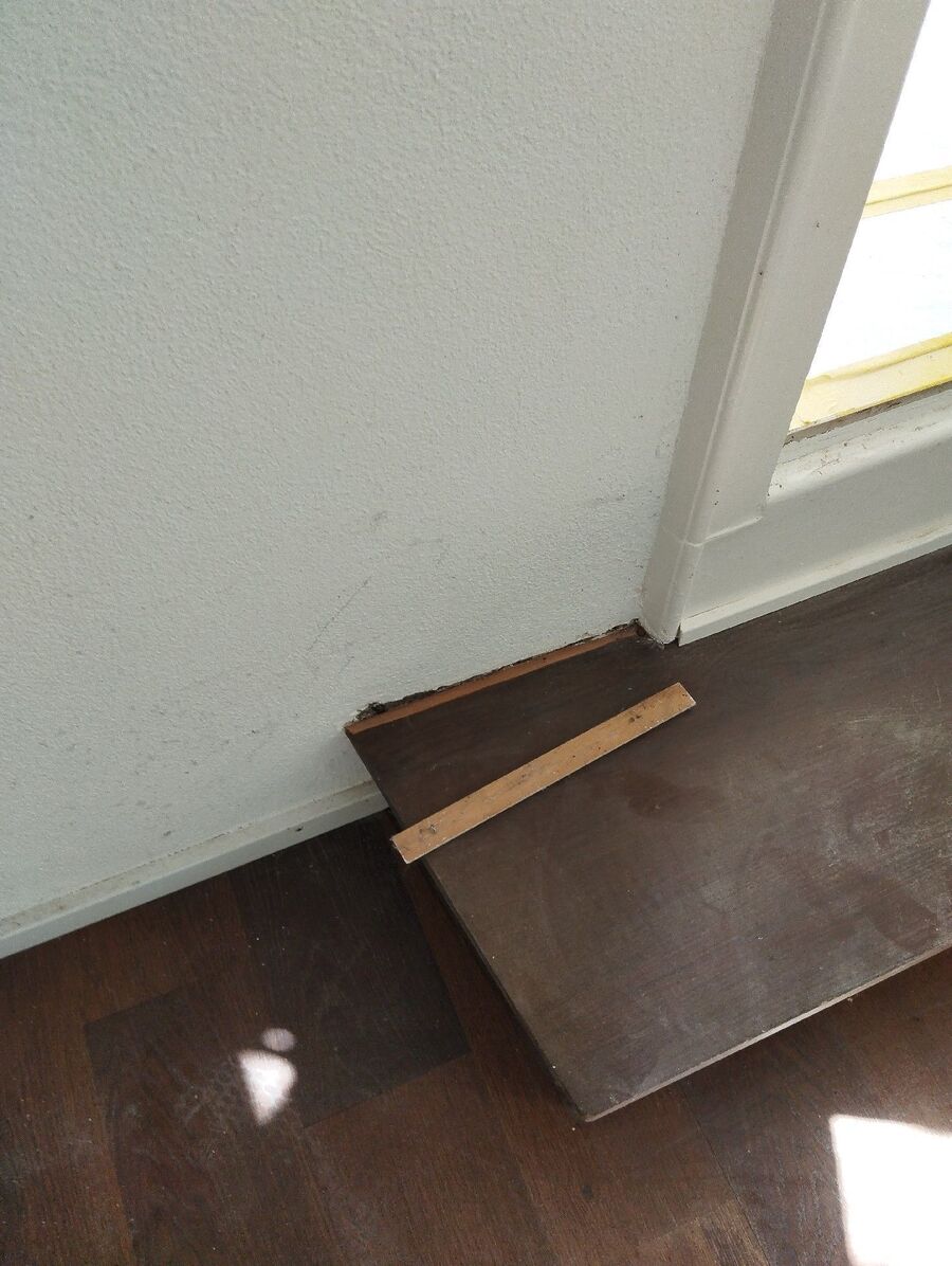 ameisen_vertreiben_bekaempfen_entfernen