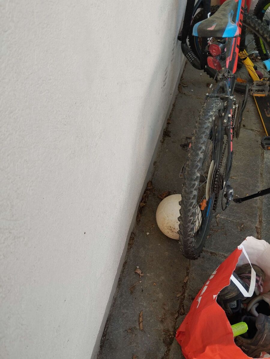 ameisen_vertreiben_bekaempfen_entfernen