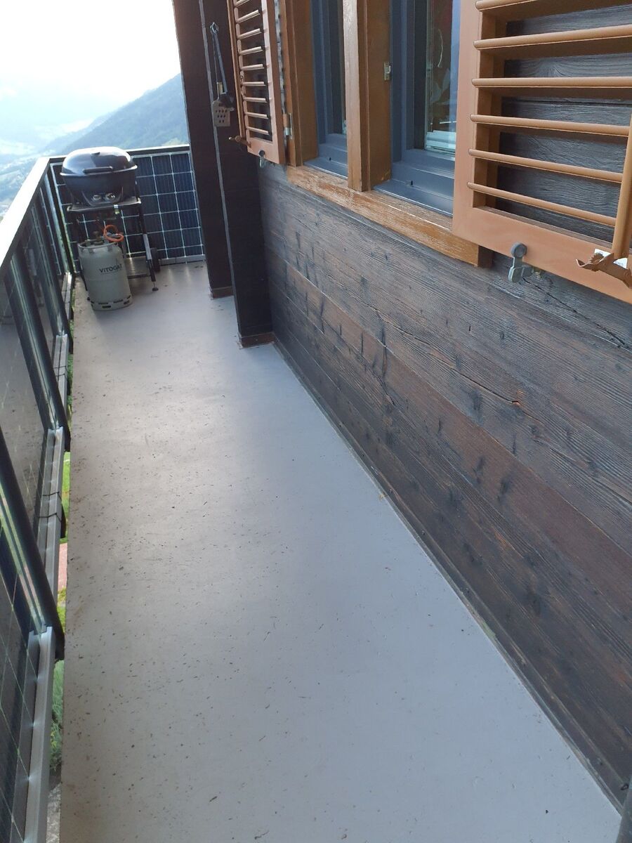 ameisen_vertreiben_bekaempfen_entfernen