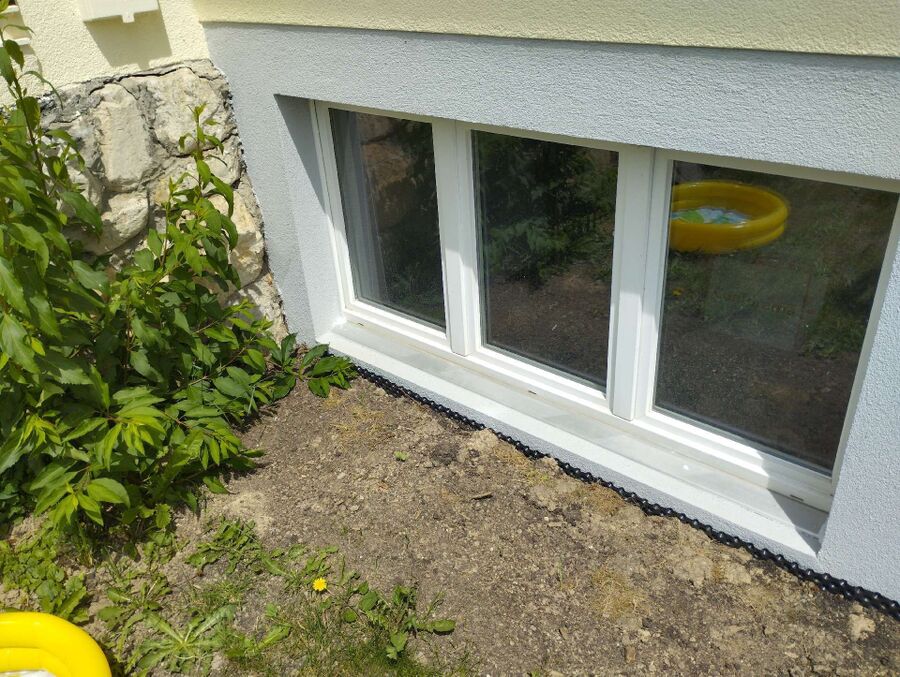 ameisen_vertreiben_bekaempfen_entfernen