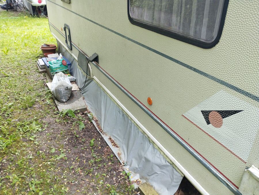 ameisen_vertreiben_bekaempfen_entfernen