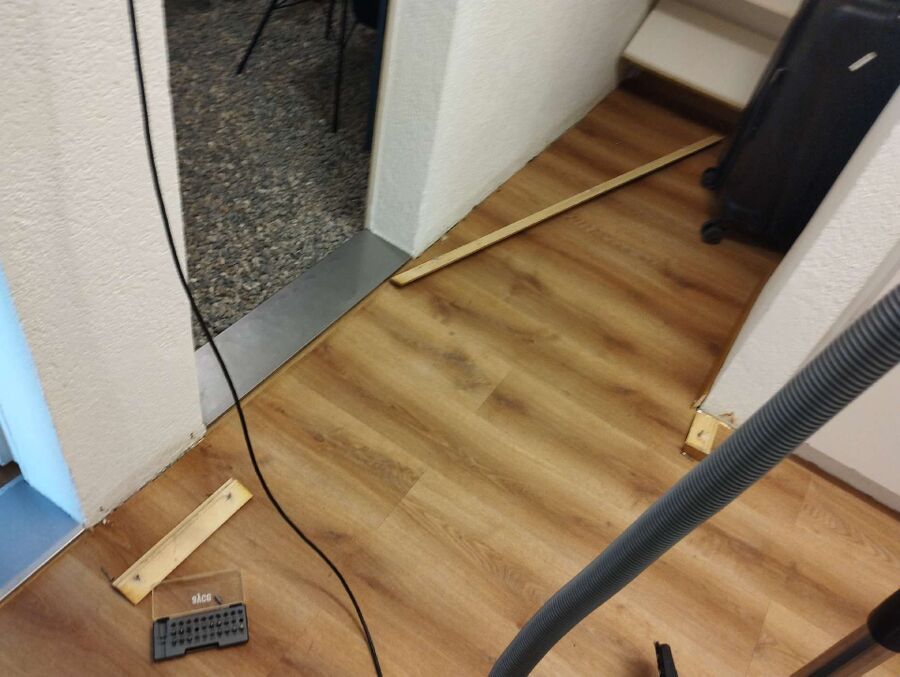 ameisen_vertreiben_bekaempfen_entfernen