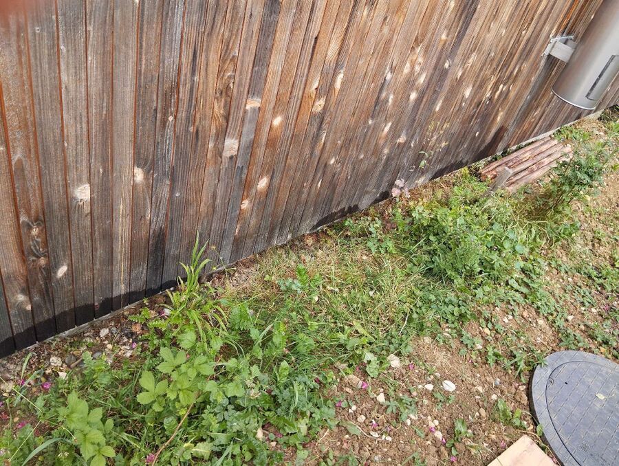 ameisen_vertreiben_bekaempfen_entfernen