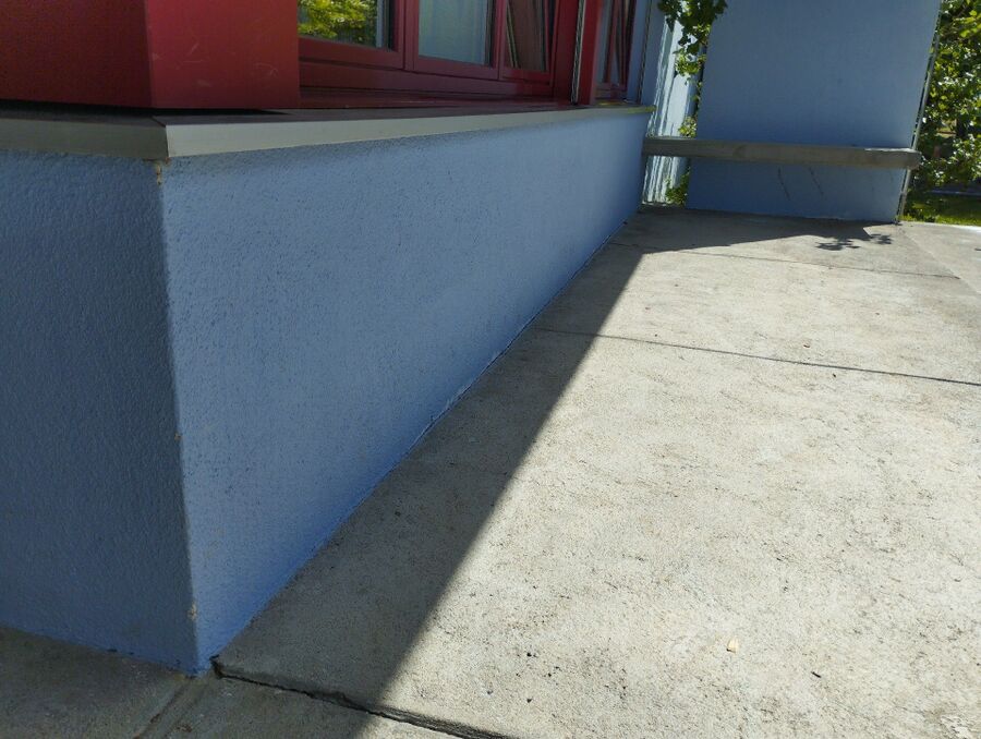 ameisen_vertreiben_bekaempfen_entfernen