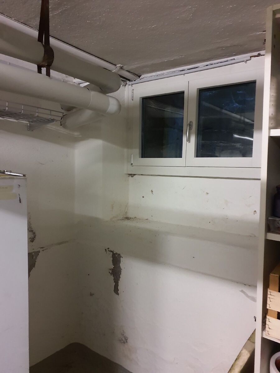 ameisen_vertreiben_bekaempfen_entfernen