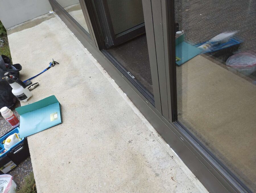 ameisen_vertreiben_bekaempfen_entfernen