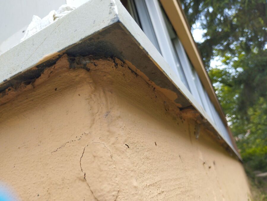 ameisen_vertreiben_bekaempfen_entfernen