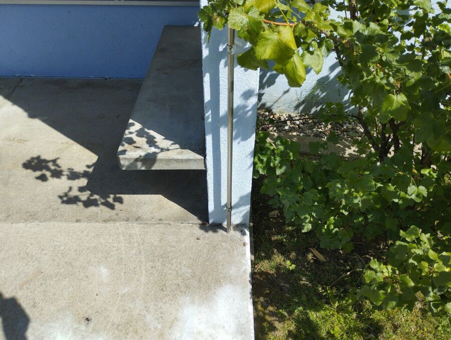 ameisen_vertreiben_bekaempfen_entfernen