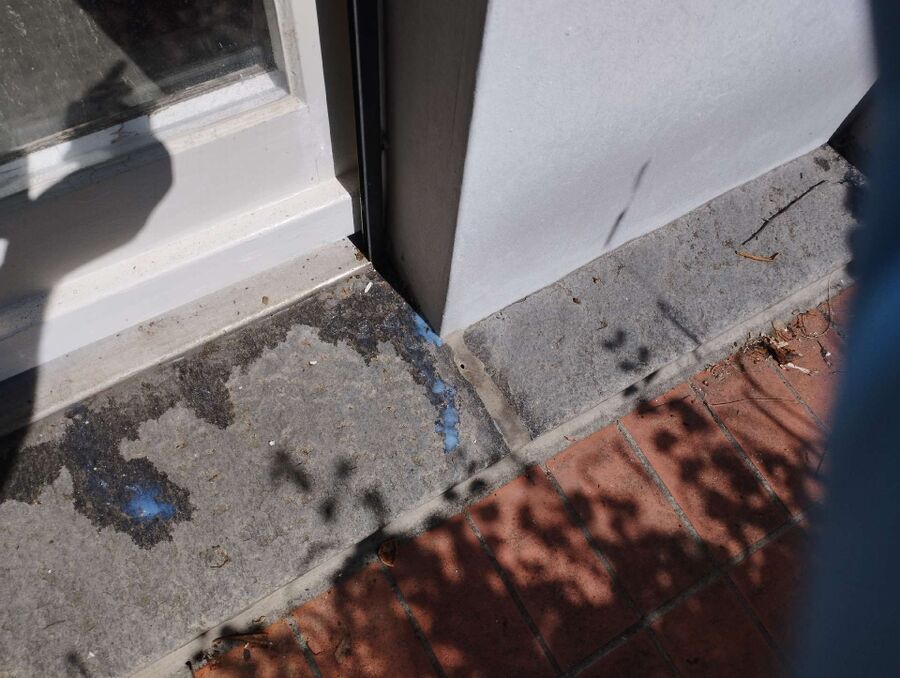 ameisen_vertreiben_bekaempfen_entfernen