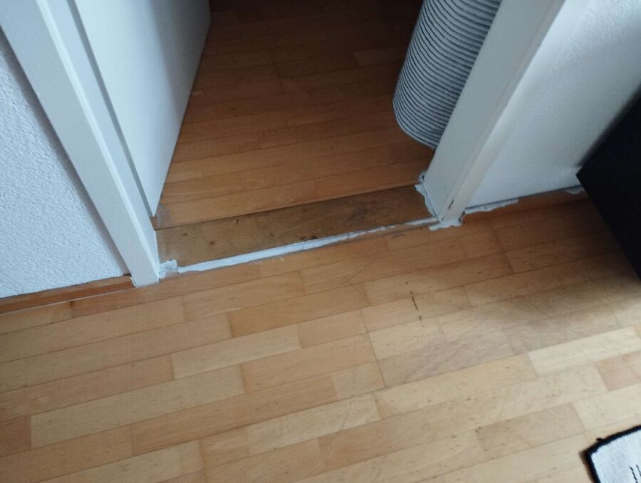 ameisen_vertreiben_bekaempfen_entfernen