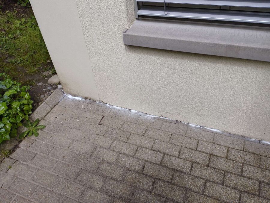 ameisen_vertreiben_bekaempfen_entfernen