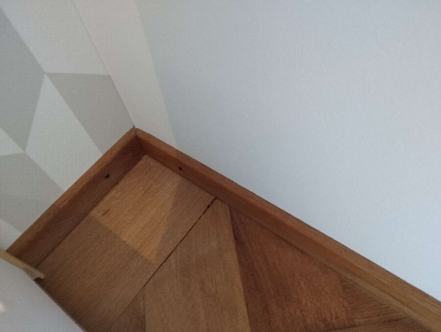 ameisen_vertreiben_bekaempfen_entfernen