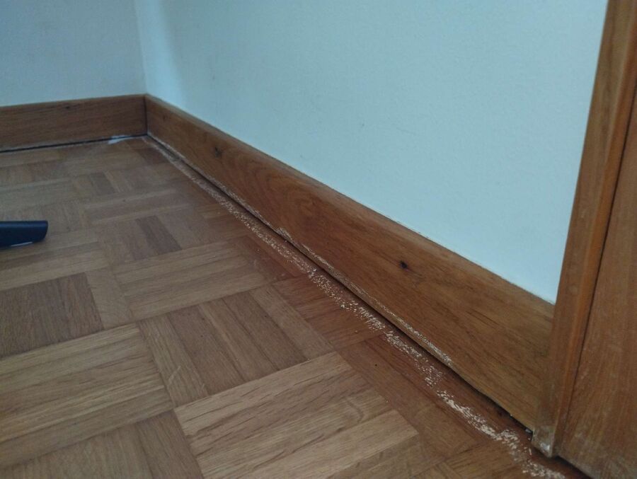 ameisen_vertreiben_bekaempfen_entfernen