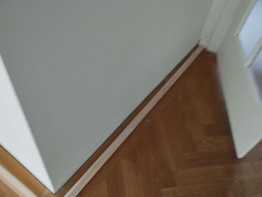 ameisen_vertreiben_bekaempfen_entfernen