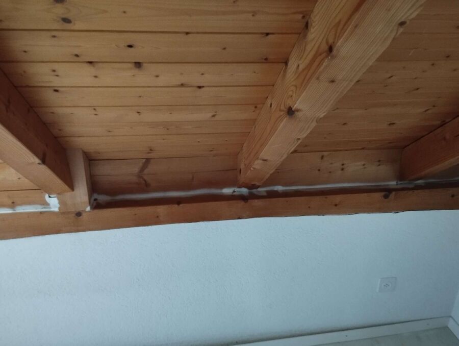 ameisen_vertreiben_bekaempfen_entfernen