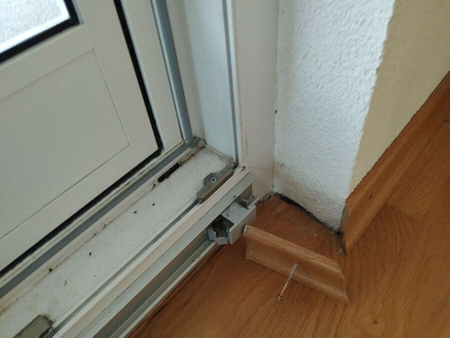 ameisen_vertreiben_bekaempfen_entfernen