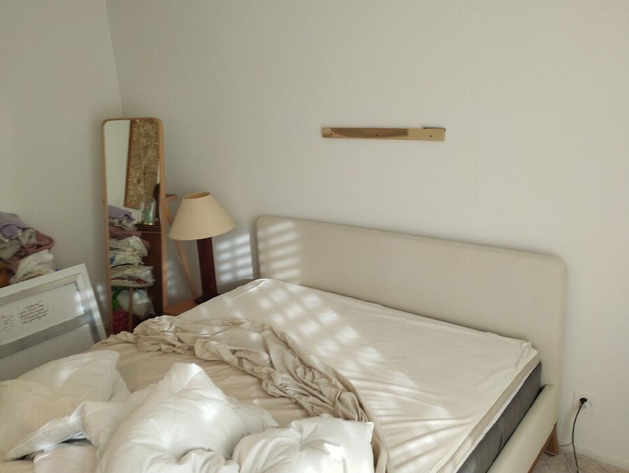 bettwanzen_bekaempfen