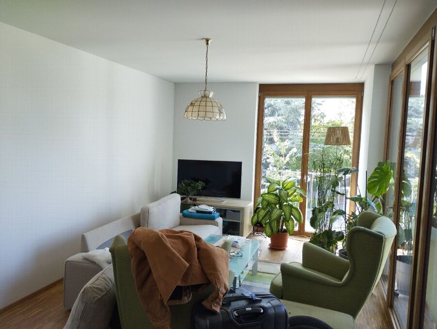 bettwanzen_bekaempfen