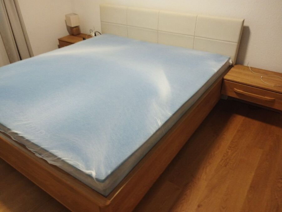 bettwanzen_bekaempfen