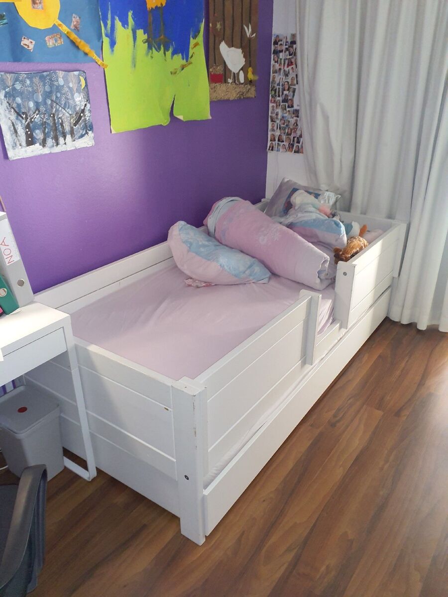 bettwanzen_bekaempfen