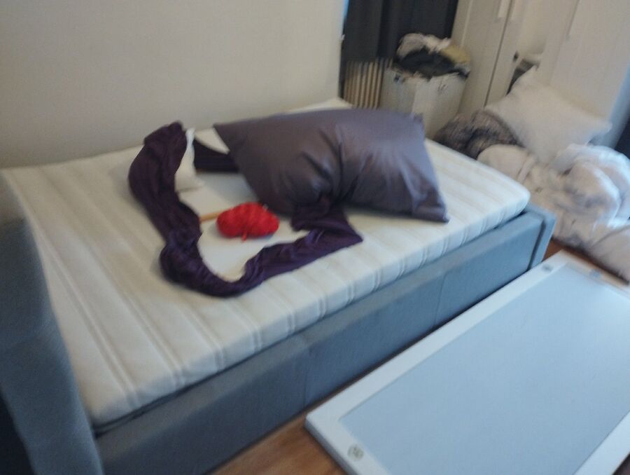 bettwanzen_bekaempfen