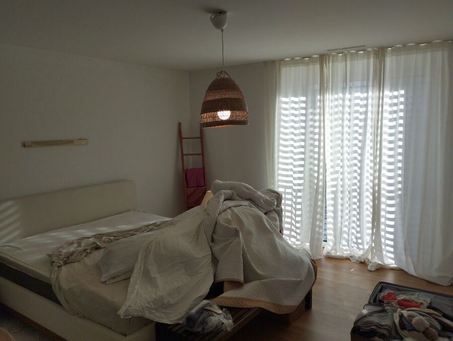 bettwanzen_bekaempfen