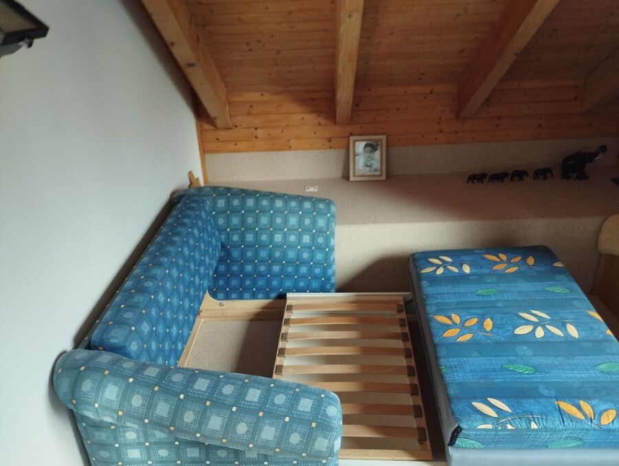 bettwanzen_bekaempfen