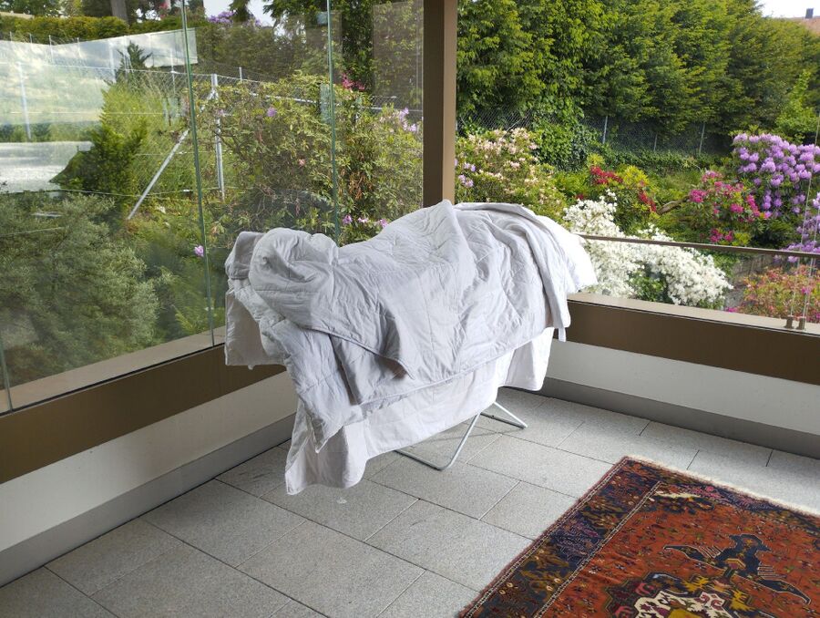 bettwanzen_bekaempfen