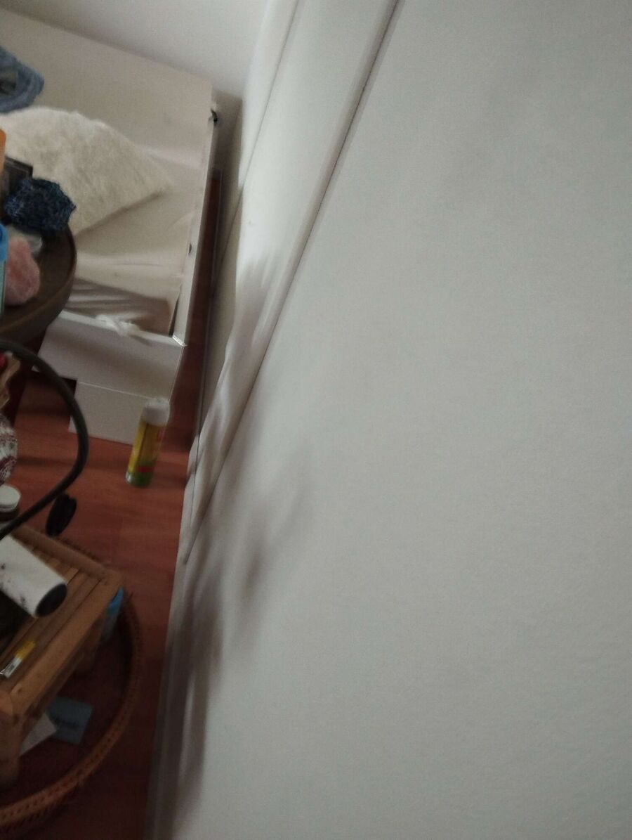 bettwanzen_bekaempfen