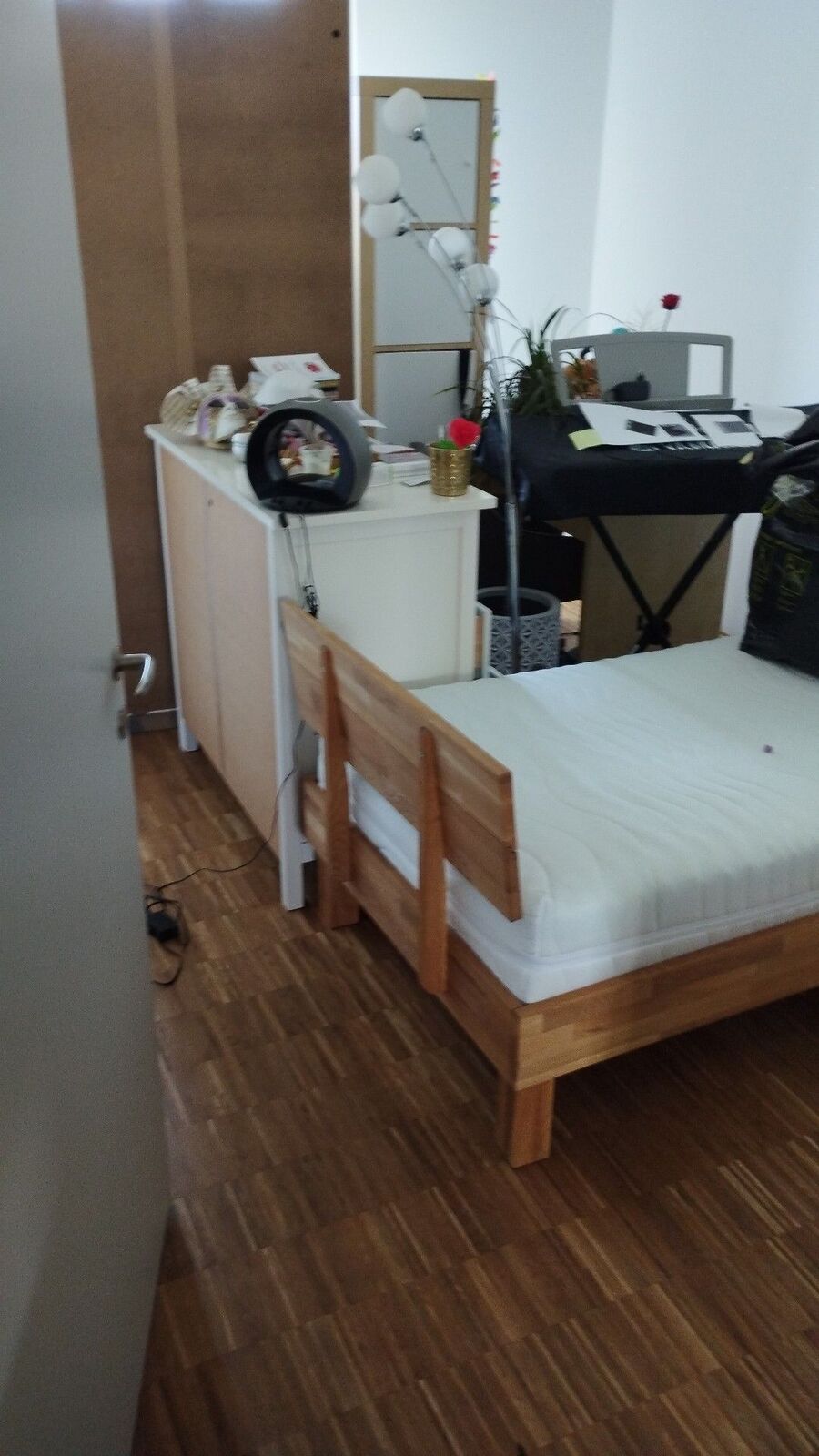 bettwanzen_bekaempfen