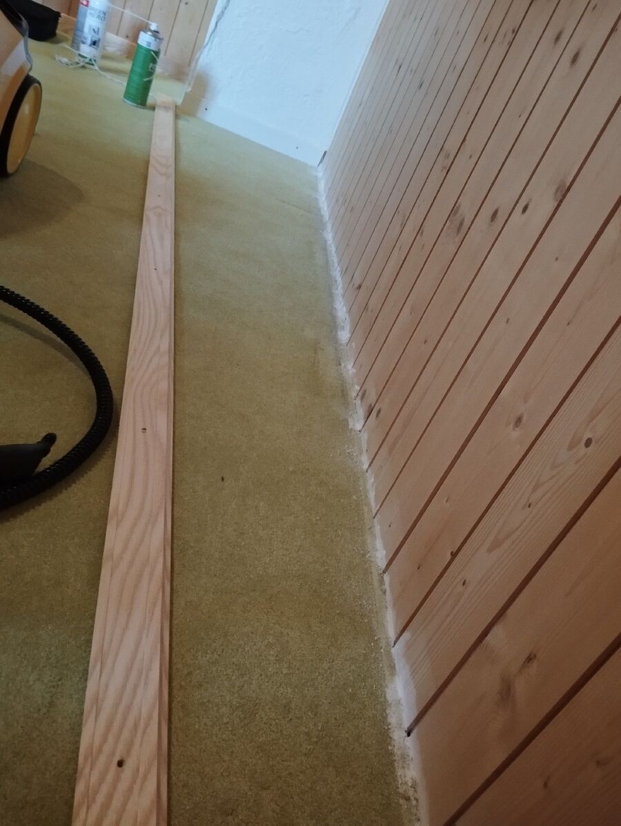 bettwanzen_bekaempfen