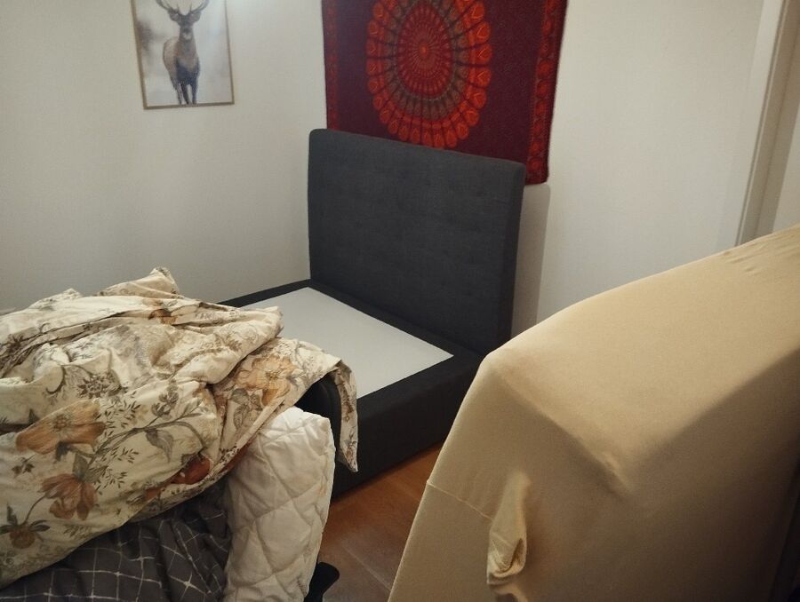 bettwanzen_bekaempfen