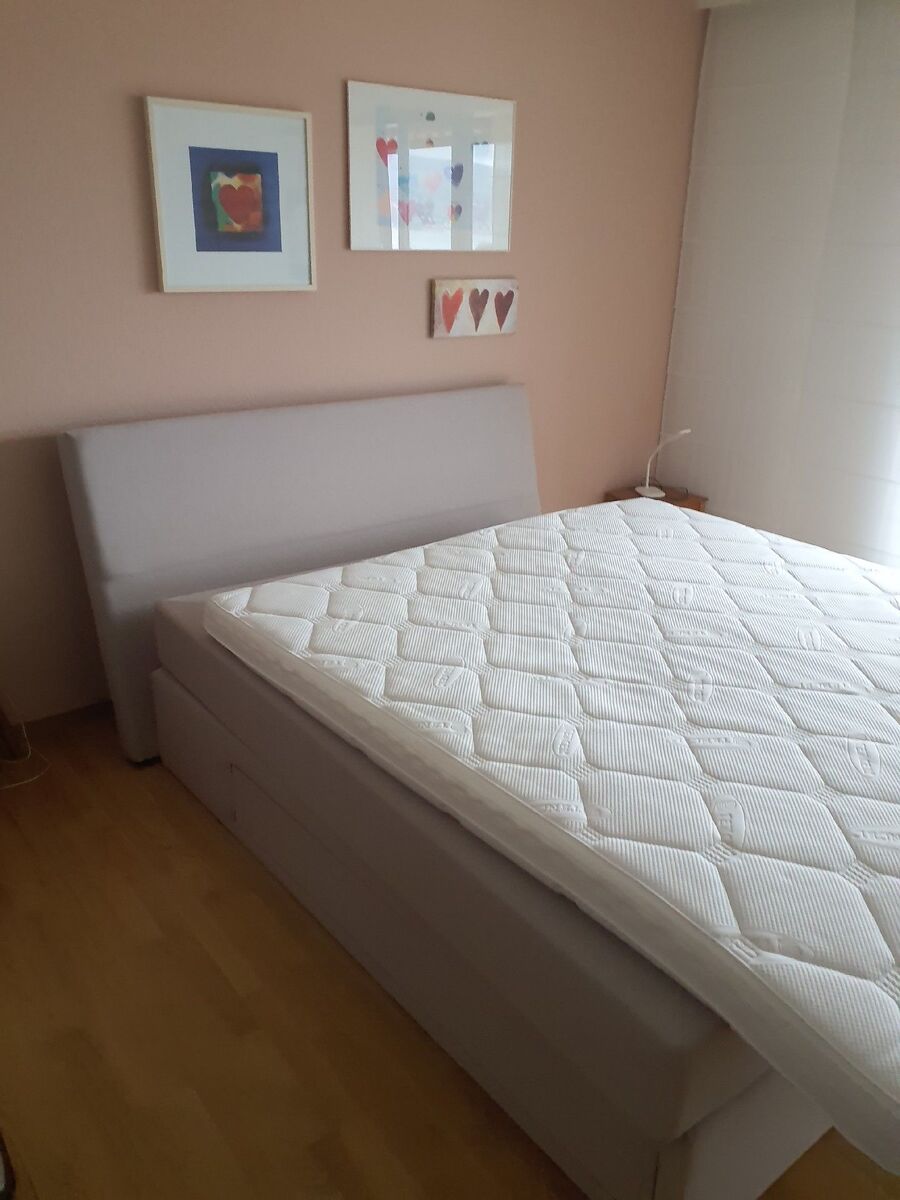 bettwanzen_bekaempfen