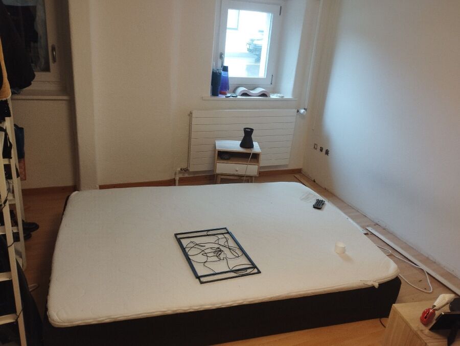 bettwanzen_bekaempfen