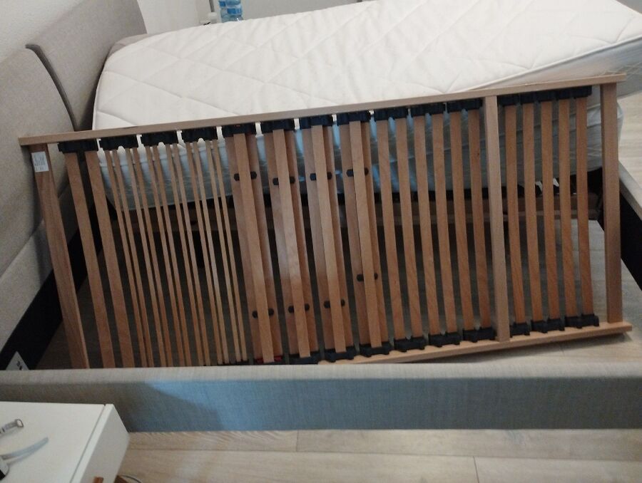 bettwanzen_bekaempfen