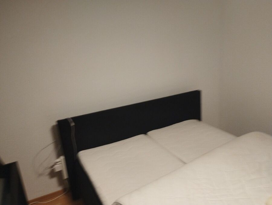 bettwanzen_bekaempfen