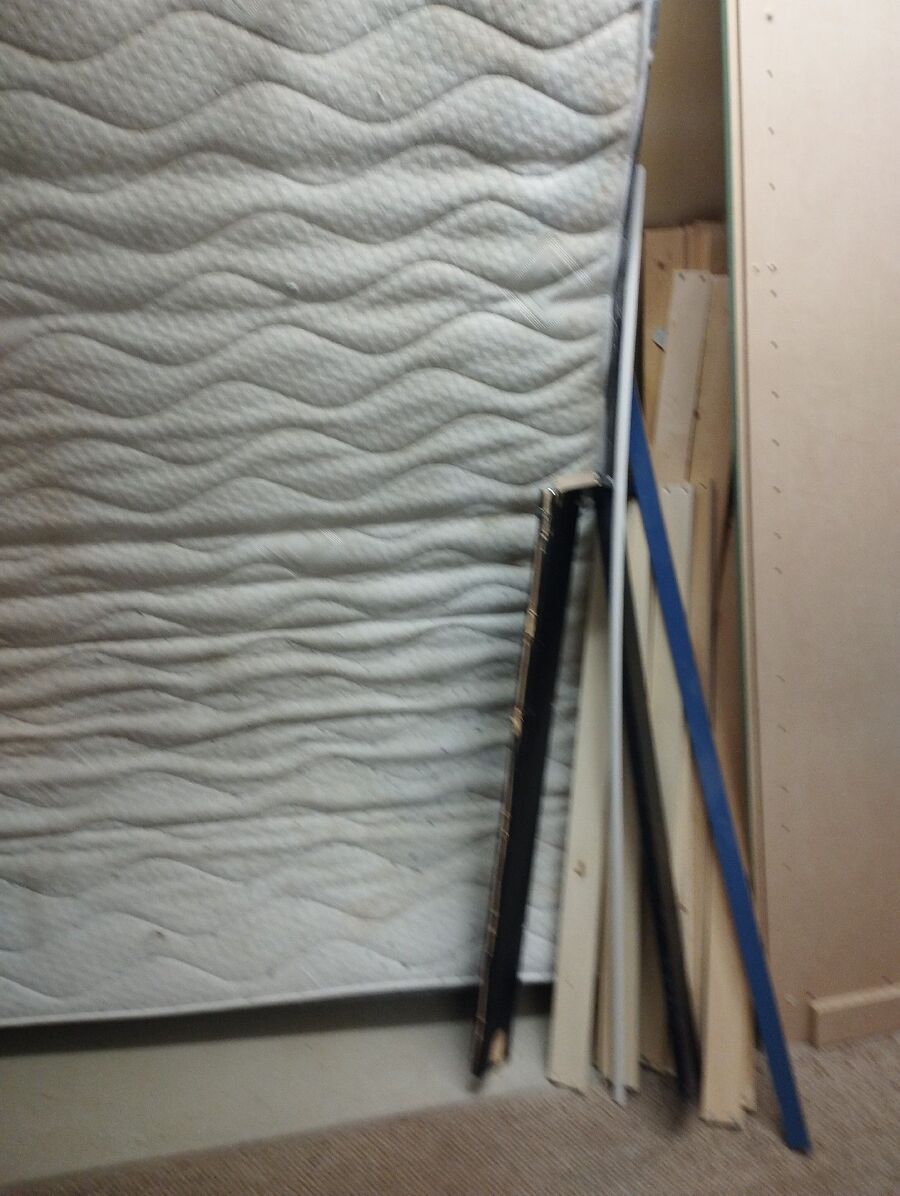 bettwanzen_bekaempfen