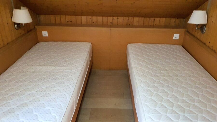 bettwanzen_bekaempfen