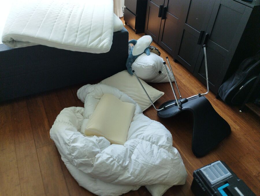 bettwanzen_bekaempfen