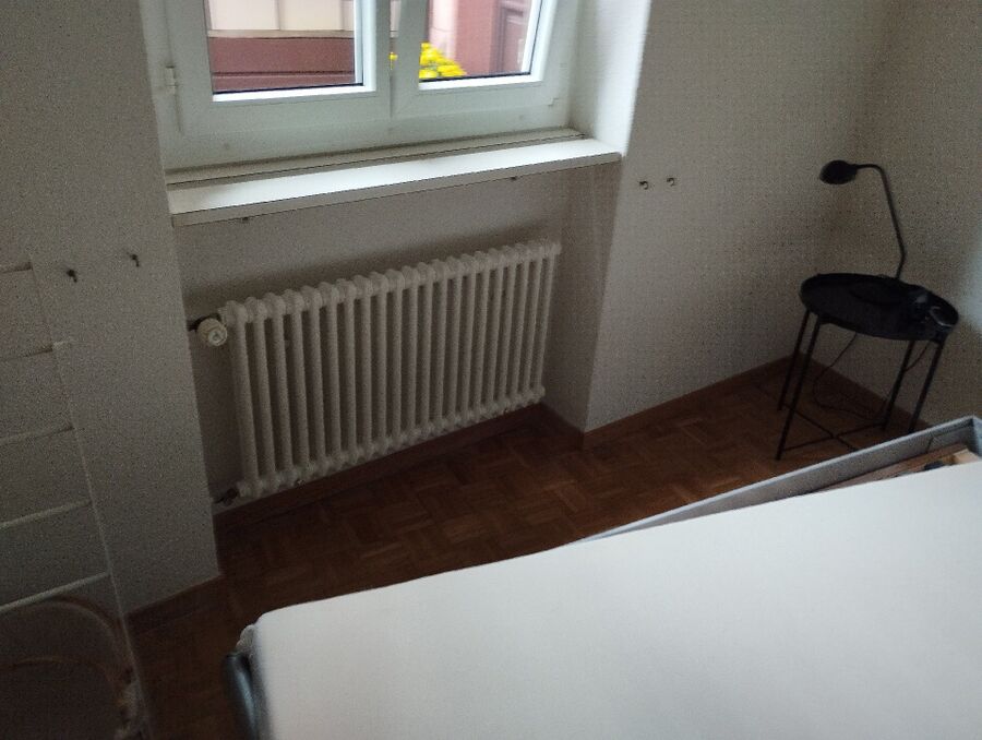 bettwanzen_bekaempfen