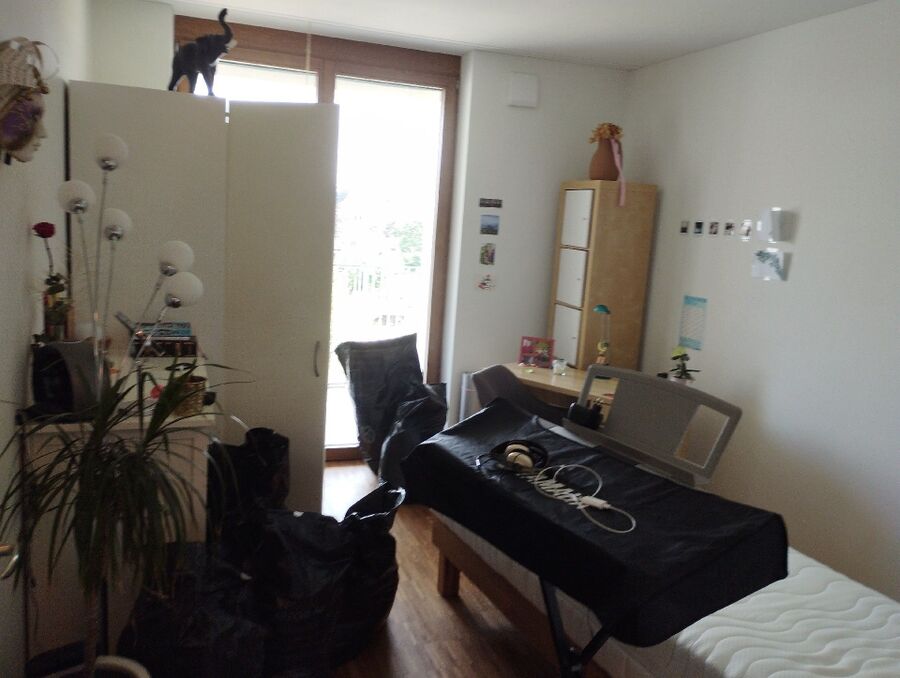 bettwanzen_bekaempfen