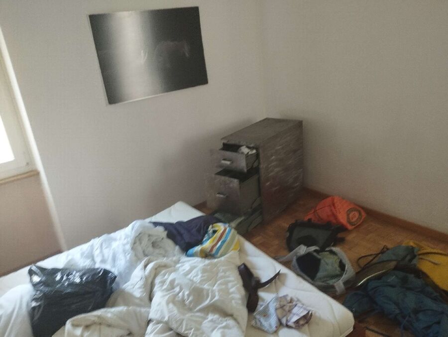 bettwanzen_bekaempfen