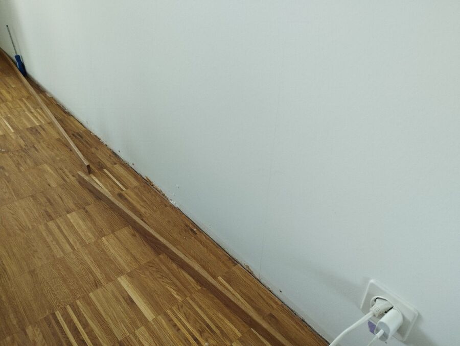 bettwanzen_bekaempfen