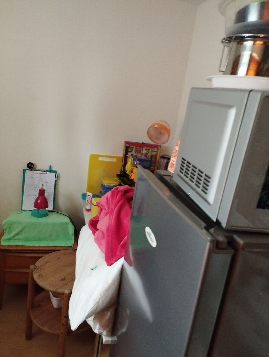 bettwanzen_bekaempfen