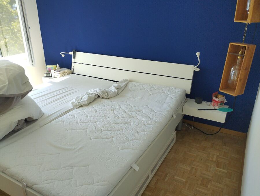 bettwanzen_bekaempfen