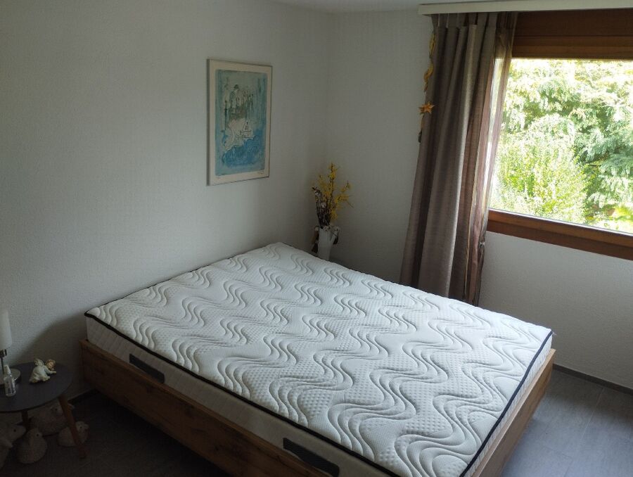 bettwanzen_bekaempfen