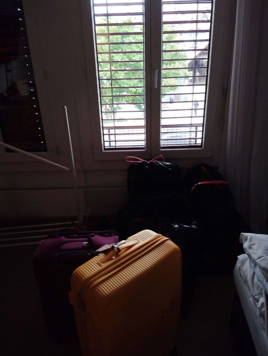 bettwanzen_bekaempfen