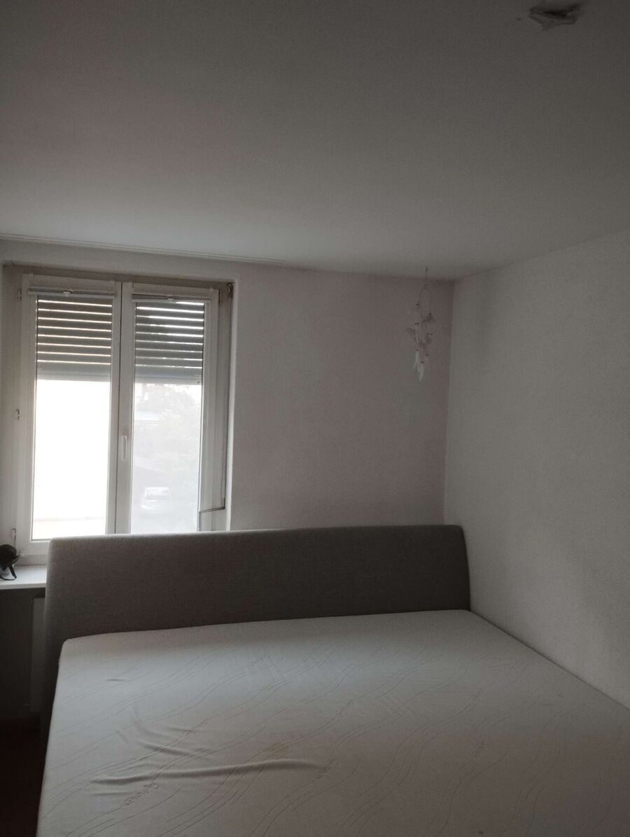 bettwanzen_bekaempfen